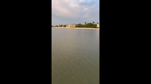 Livestream Highlights - Incredible Dolphin Jump & Catch Part 2! #Dolphin #MarcoIsland #Livestream #