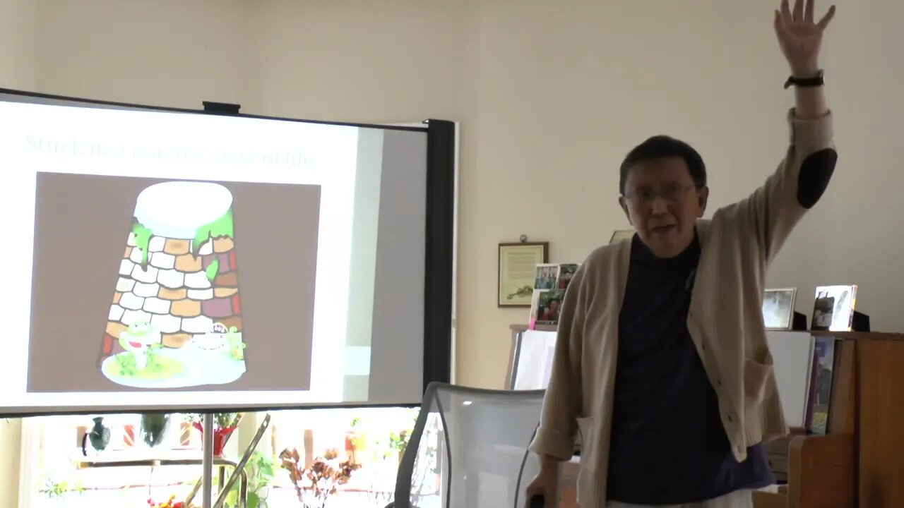 The Frog at the bottom of the well 坐井观天 | Dr. Paul T. P. Wong | Meetup clips