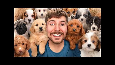 I Rescued 100 Abandoned Dogs!