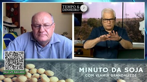 Milho pega carona no Dólar em Alta e para de cair