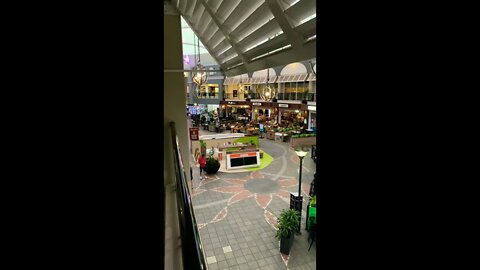 Chevron Renaissance - Surfers Paradise