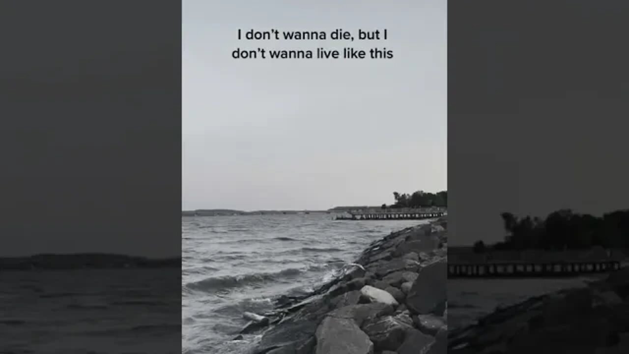 Quotes Of The Day|| Daily Life quotes|| Great Quotes for you.. #shorts Number-(4)