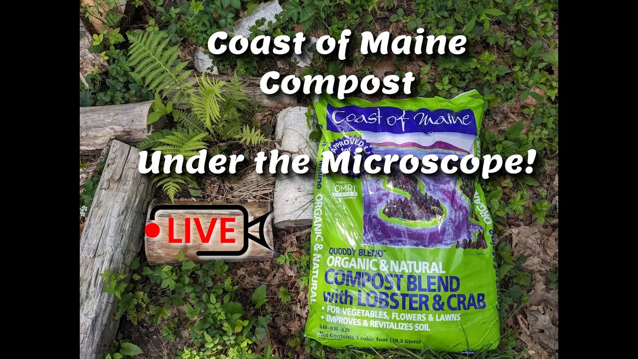 Cost of Maine Compost, Under the Microscope! "Best Compost"?!