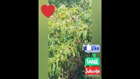 Beautiful Uttarakhand