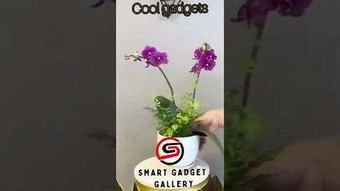 #tiktok #tiktokchina #kitchentools #beauty #shorts #trending #smartgadgetgallery #coolgadgets