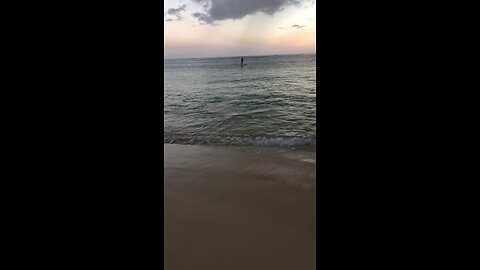 Cruise on the water