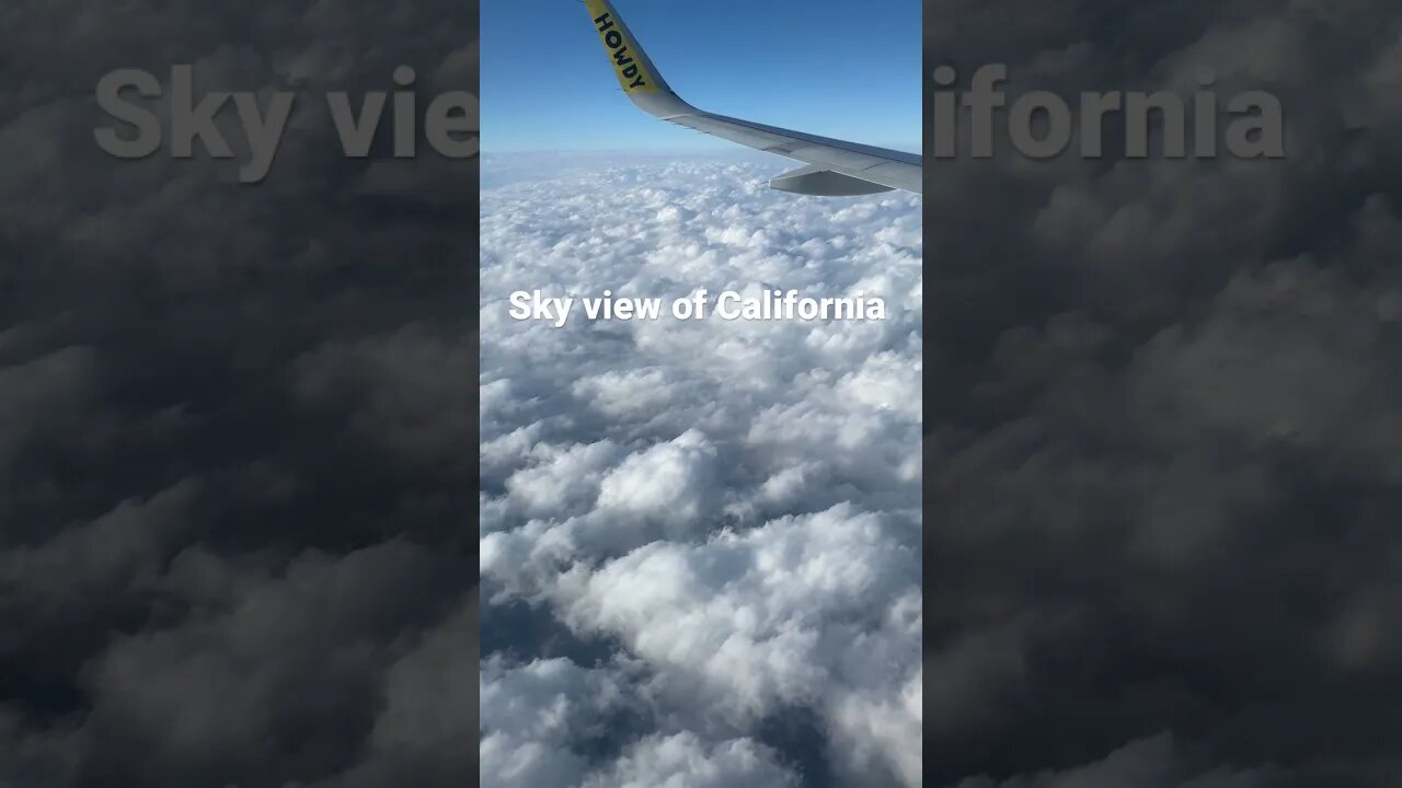 *Miami | Sky View is the best view