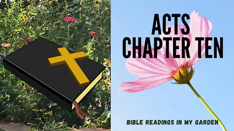 ACTS Chapter 10 | NRSV Bible