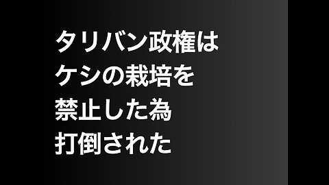 タリバン政権はケシの栽培を禁止した為打倒された