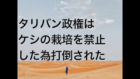 タリバン政権はケシの栽培を禁止した為打倒された