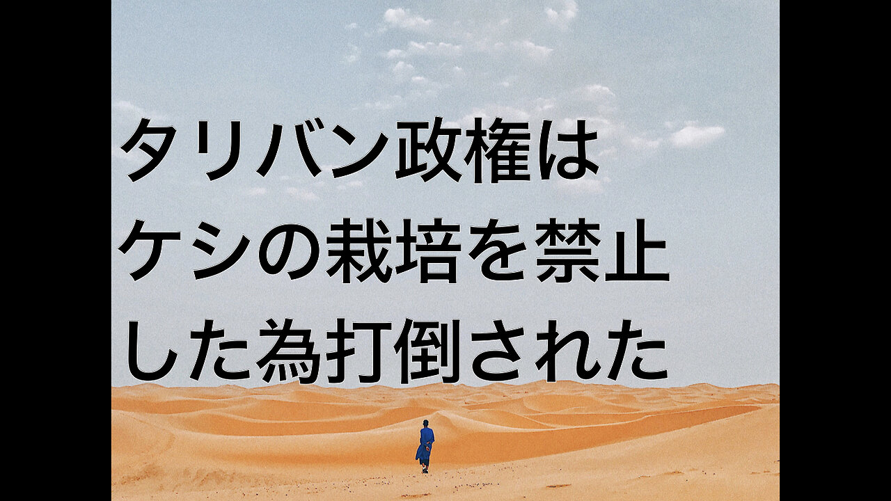 タリバン政権はケシの栽培を禁止した為打倒された