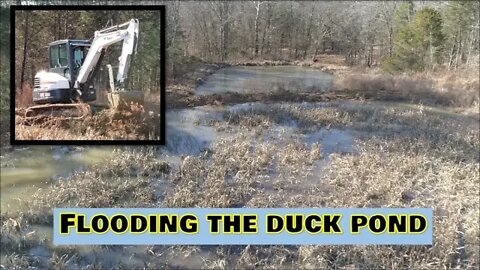 Flooding Duck Pond PART 2! Bobcat excavator & More!