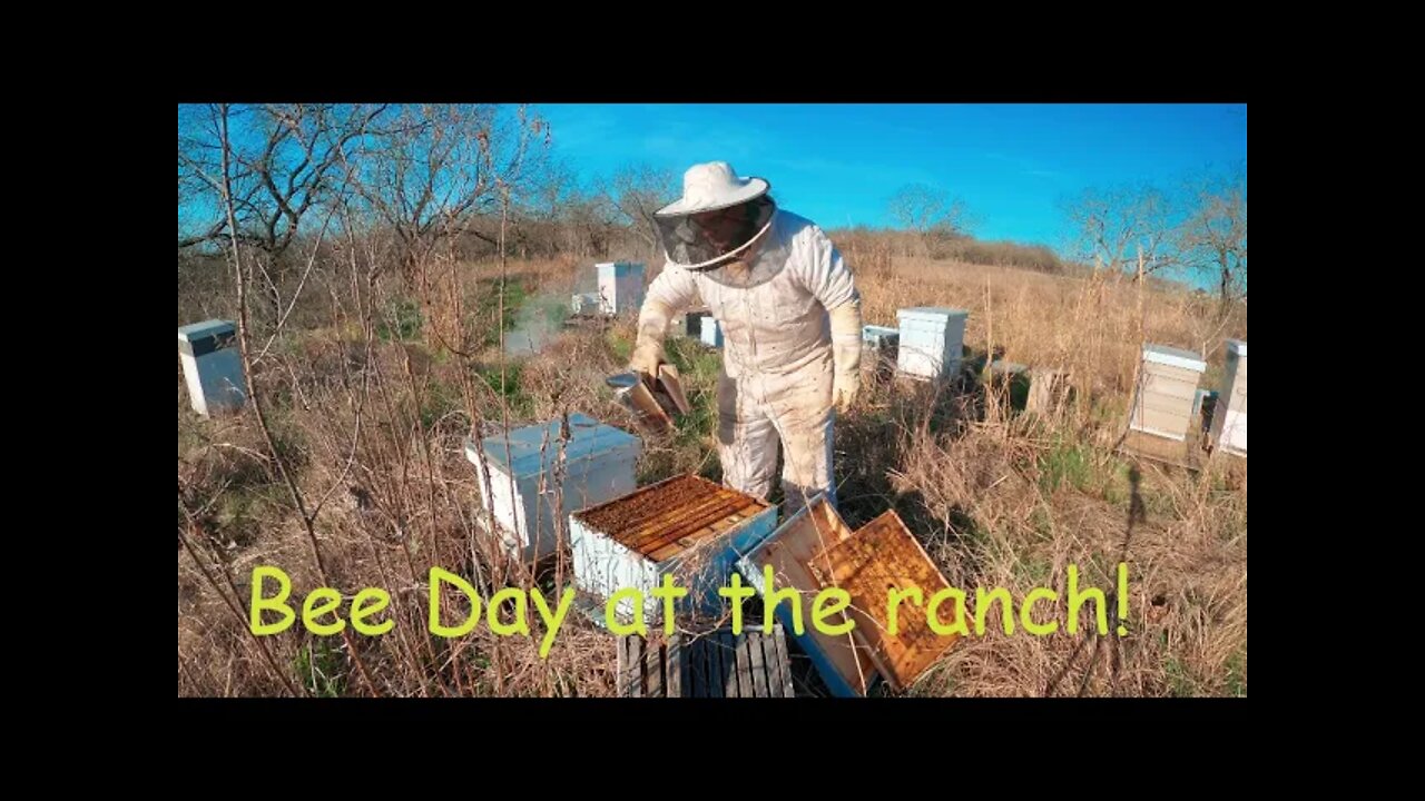 Bee Day at the ranch!!!