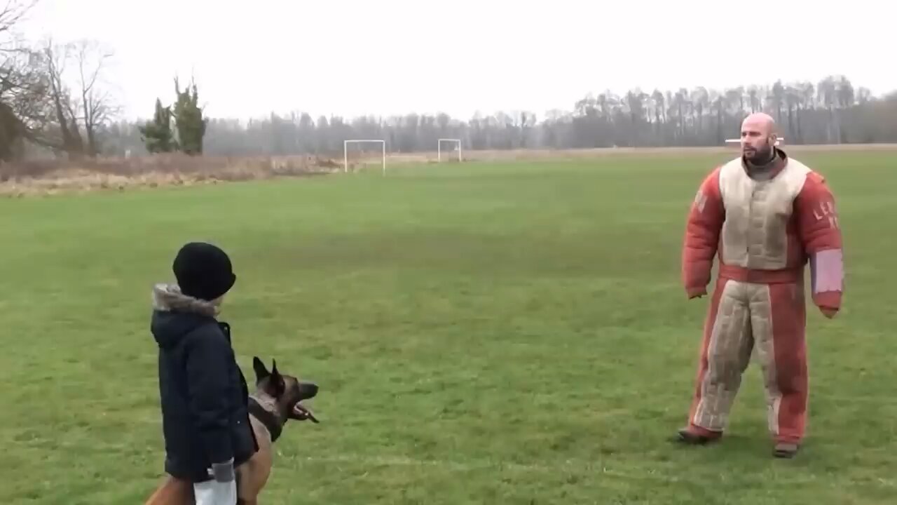 personal family protection, dog training 