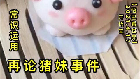 KWT1525再论猪妹事件-常识运用20210417-7【悟里看世界】