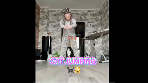 CAT JUMPING