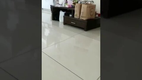 דירה בבניין חדש בחיפה אחרי רעידת האדמה של כשלוש וחצי בסולם ריכטר 23 לינואר 2022
