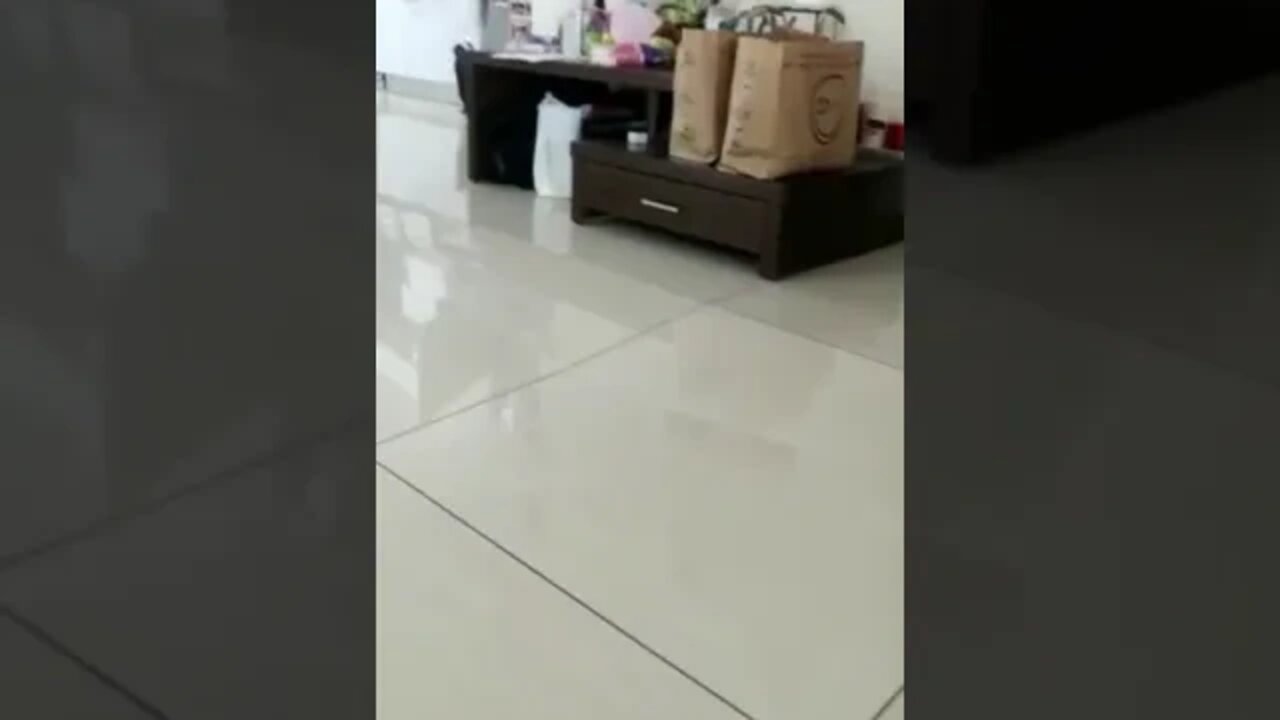 דירה בבניין חדש בחיפה אחרי רעידת האדמה של כשלוש וחצי בסולם ריכטר 23 לינואר 2022