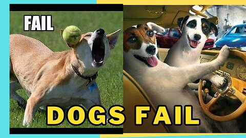 Funniest Dogs Fails 2023 😸😹😽 - Caught On Camera | Entertainment World