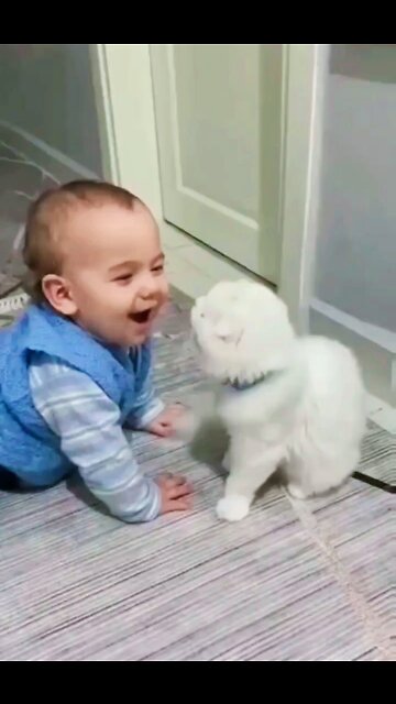 Cute Cat vs baby Funny videos 2022 #funny #cat #baby #viral #shorts