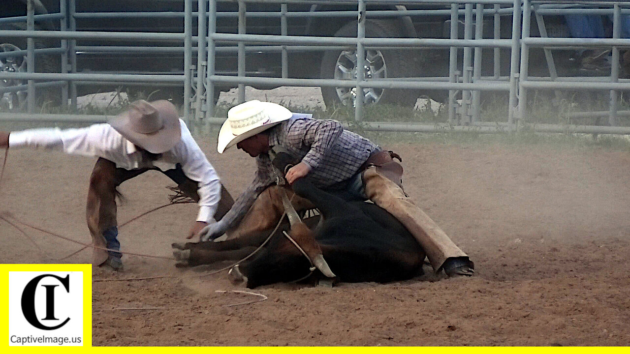 Stray Gathering - 2022 West Texas Ranch Rodeo | Friday