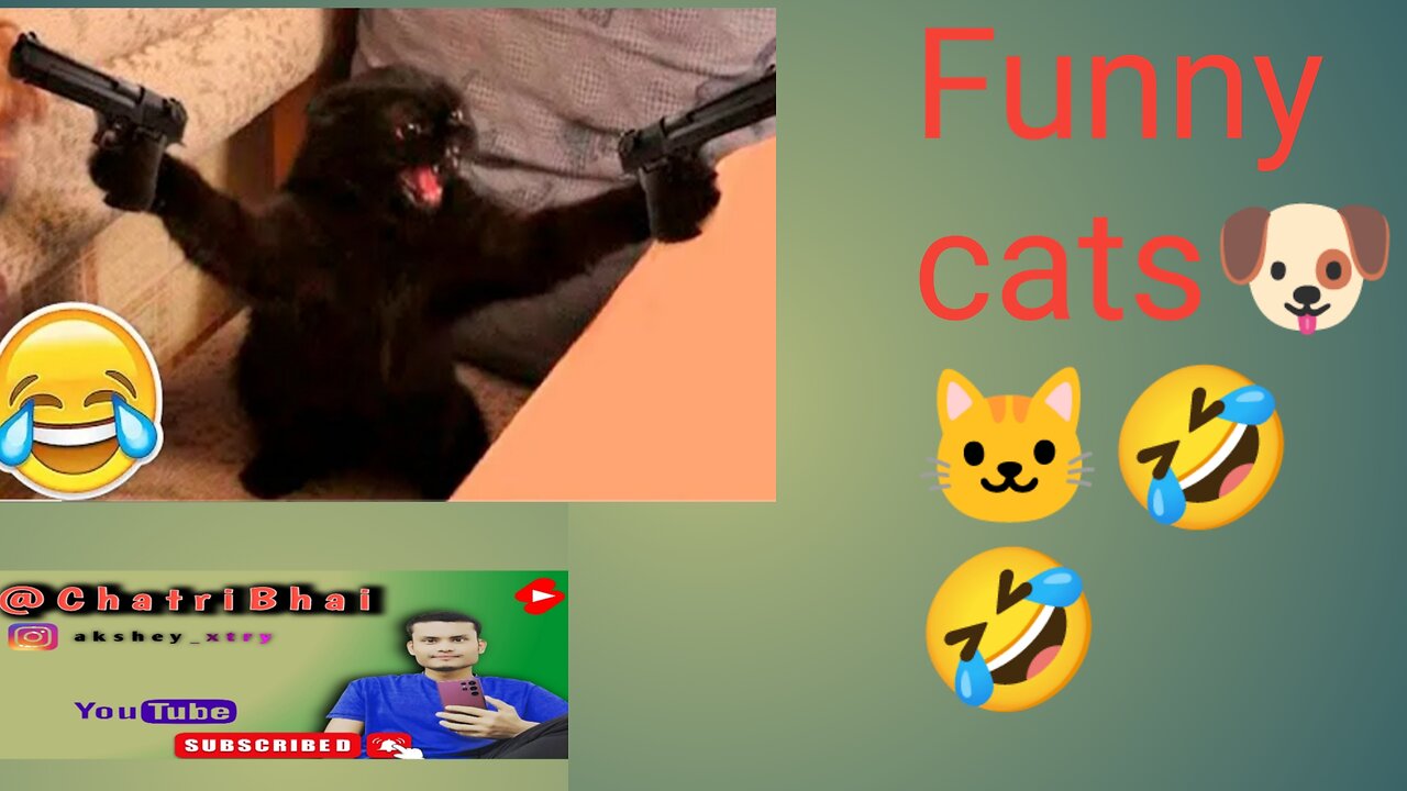 New Funny Animals 😂Funniest Casts And Dogs Videoes🐱🐱🐶🐶