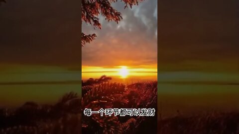 一句话开悟20220822