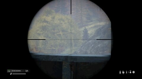 DayZ HeadShot 😅🤣!