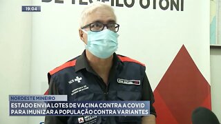 Estado envia lotes de vacina contra a covid para imunizar a população contra variantes