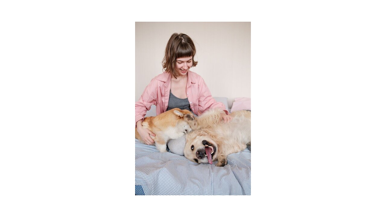 Happy,young woman Having Fun With Her Dog