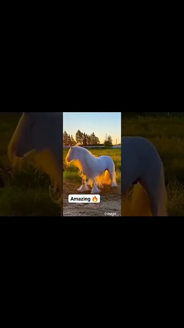 New Amazing Whatsapp Status 2021 | #shorts #whatsappstatus #status #short | Your Vision's Factory