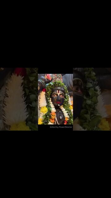 Guruji recém chegado à Sua casa nas Maurícias, Fevereiro 2022