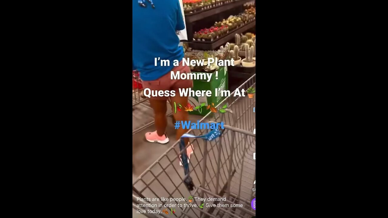 New plant 🪴 Mommy