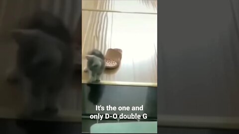 MEME is the one and only D-O double G #shorts