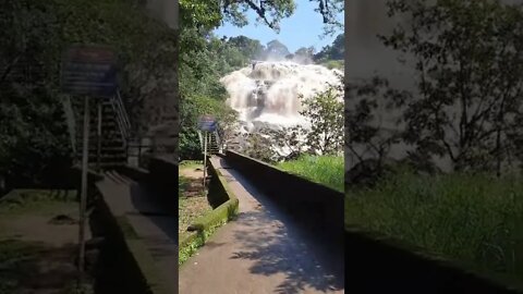 Cascata das Antas Poços de Caldas #Shorts