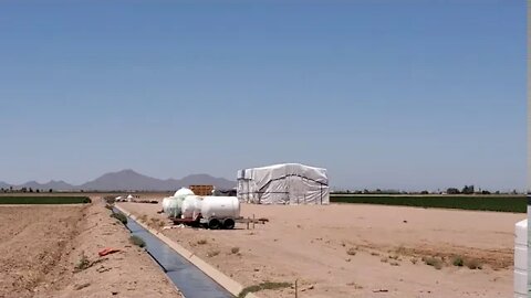 MACIA EN ARIZONA ESTADOS UNIDOS AMERICANOS