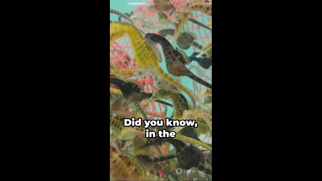 Seahorse Surprises: Males Giving Birth ?