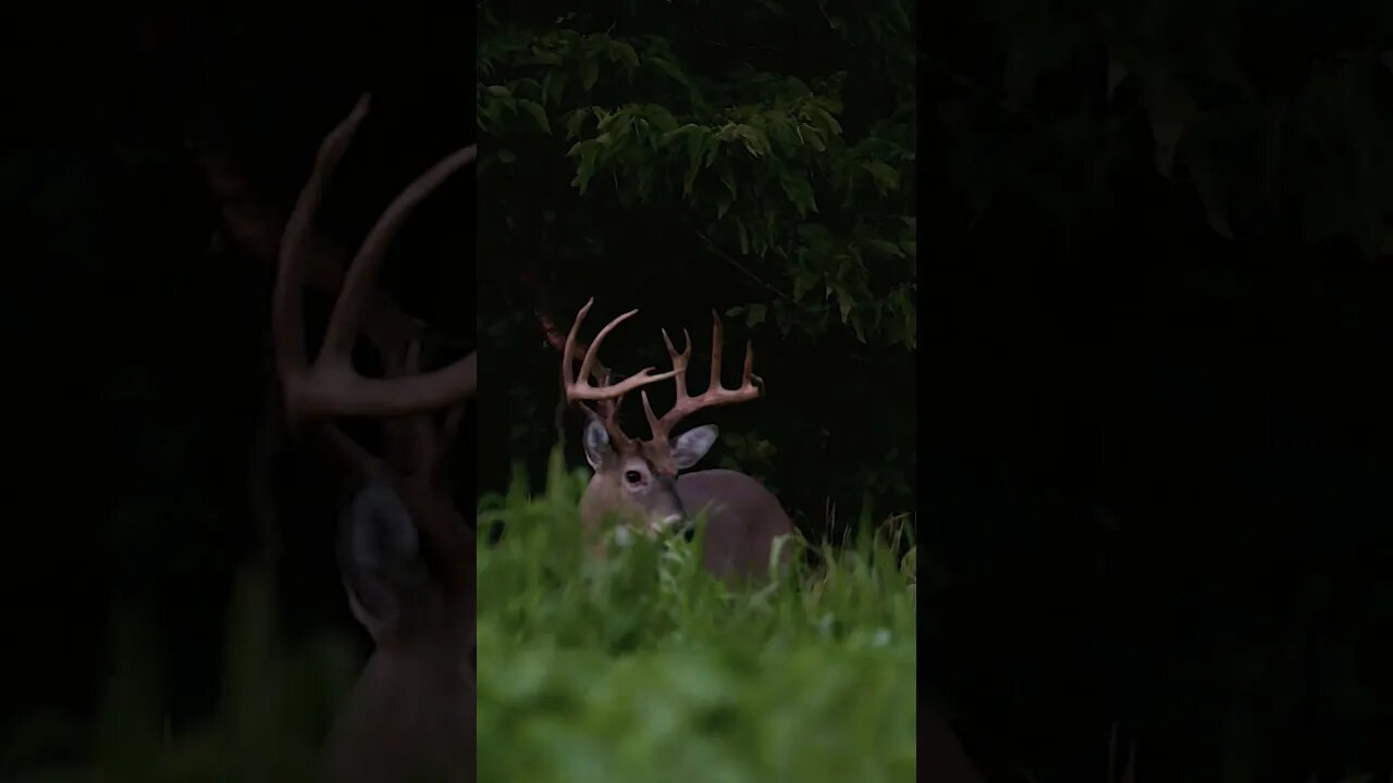 September Is Upon Us!