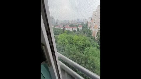 매미우는 소리 여름