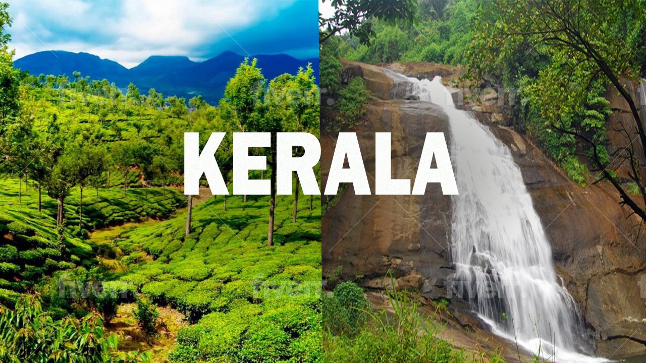 The Natural Wonders of Kerala: Exploring God's Own Country