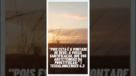 BOA NOITE COM AS ESCRITURAS SAGRADAS.#shortsseja
