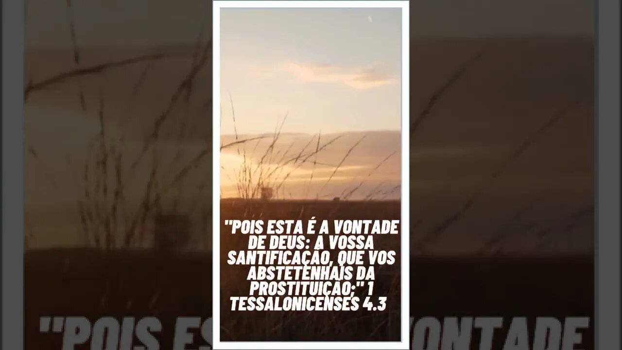 BOA NOITE COM AS ESCRITURAS SAGRADAS.#shortsseja