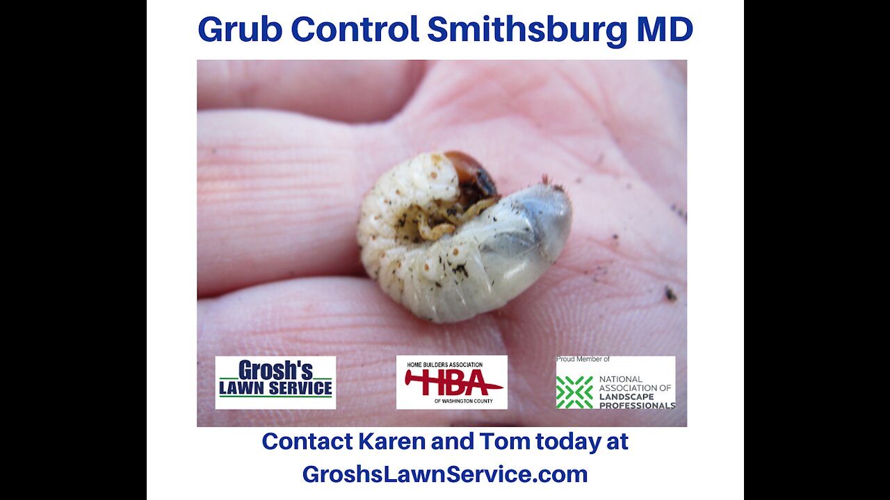 Grub Control Smithsburg MD Lawn Care Service