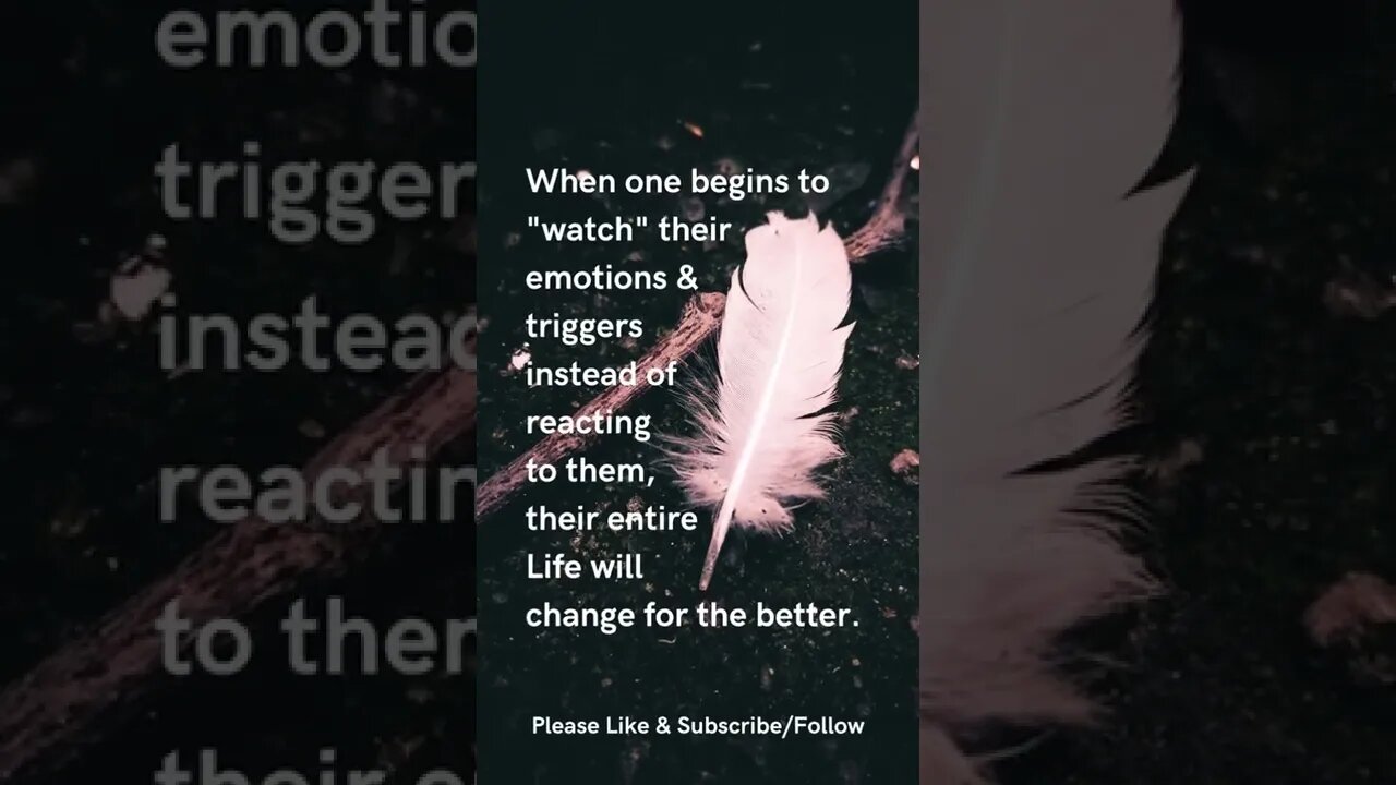 Watch Your Emotions
