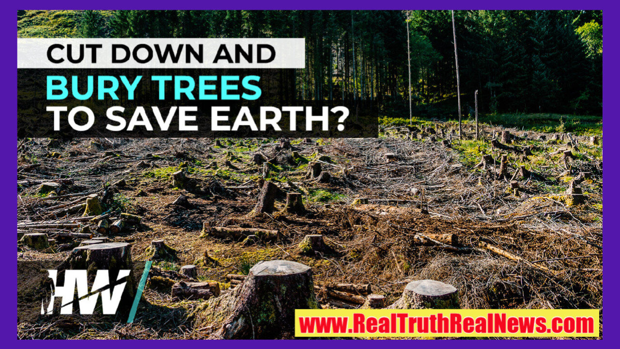 🌲 Bill Gates Wants to Cut Down and Bury Trees to Save the Planet - is He F@cking Insane? 🤪