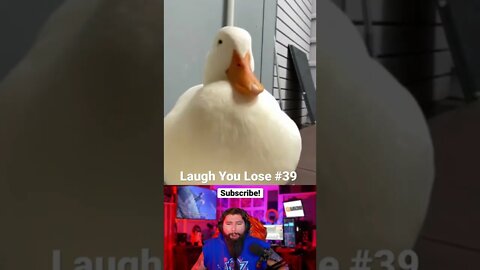 Laugh You Lose Challenge #39