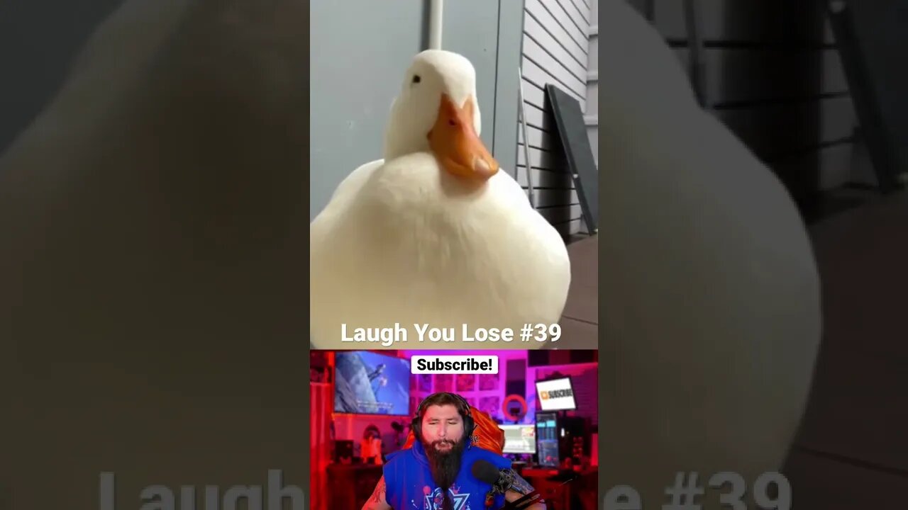 Laugh You Lose Challenge #39