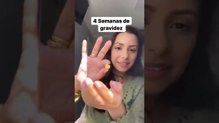 4 Semanas de gravidez