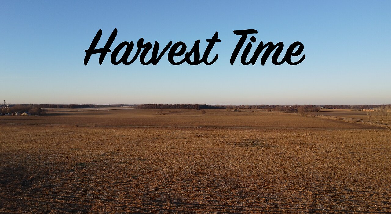 Harvest Time