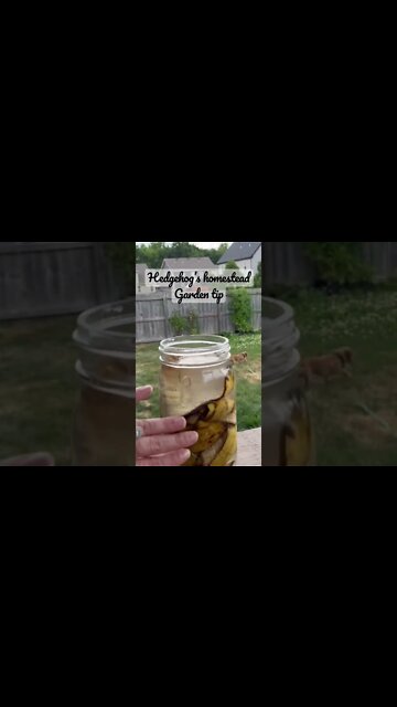 Tips for Growing your Garden#Fertilizingtips